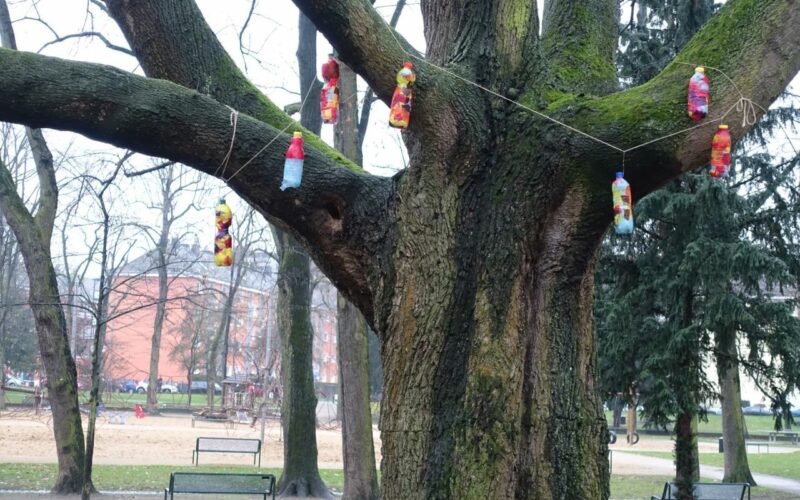 Baumschmuck im Park